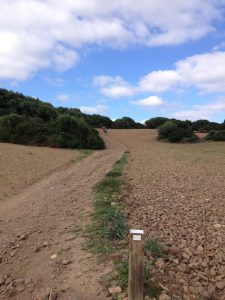 Sendero y ciclistas