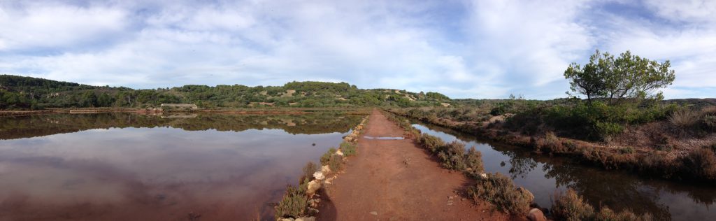 Salinas Mongofra