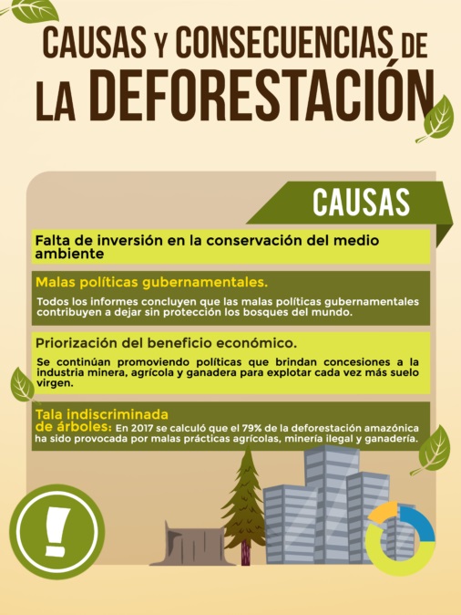 causas de la deforestación