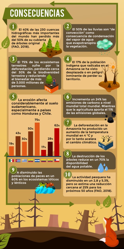 consecuencias de la deforestación