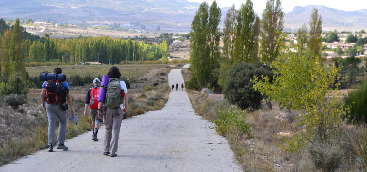 Dos grupos de senderistas camino de El Sabinar GR 7