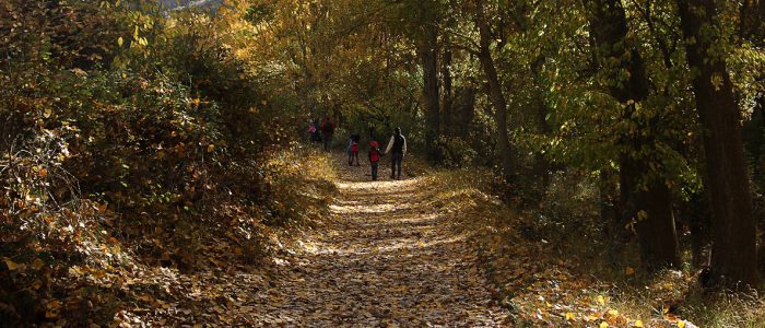 Senderistas por GR-10 por bosque de ribera en otoño