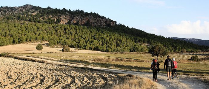 Montaña y grupo senderista por camino