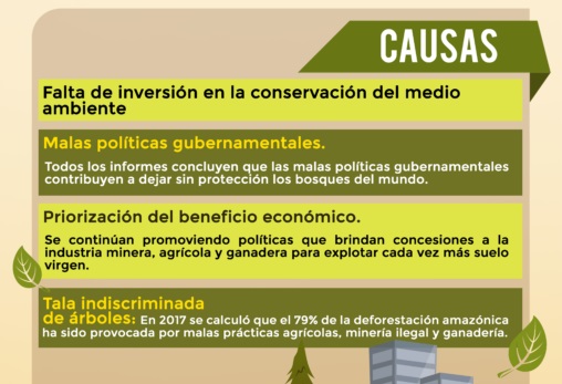 causas de la deforestación