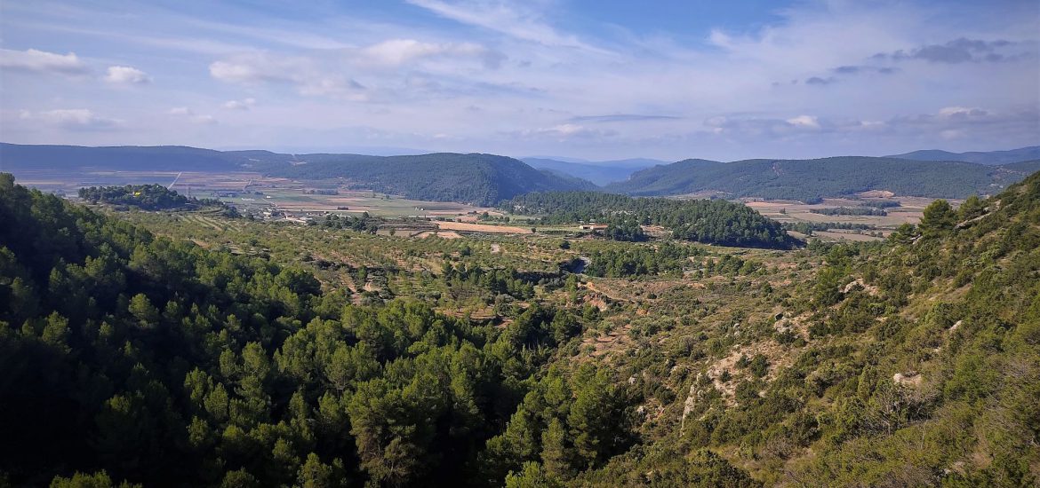 macrogranjas en el gr 37