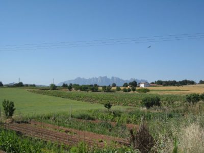 IMG-20241005-WA0021
