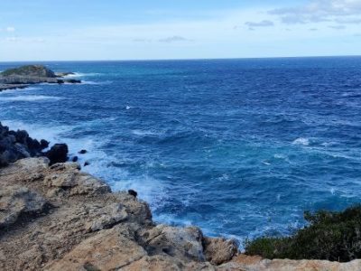 IMG_20211206_133251 (2)