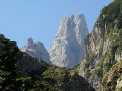 IMG_2359