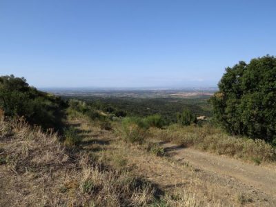 IMG_2386_1