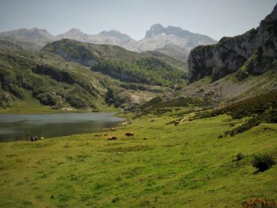 IMG_2387