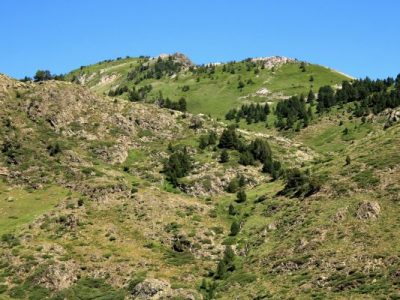 IMG_9772