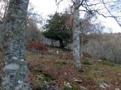 P.N. FUENTES CARRIONAS 26-30-12-16 (26)